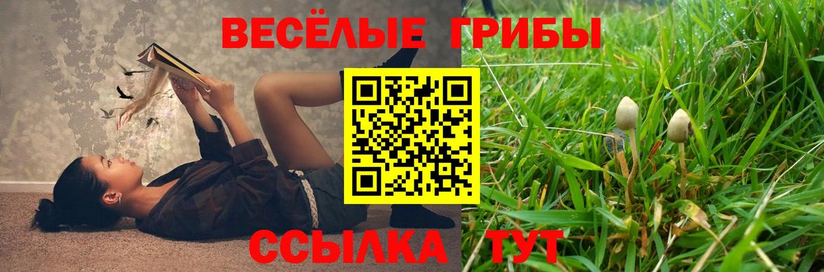 где купить наркоту  Галлюциногенные грибы GOLDEN TEACHER  Галлюциногенные грибы Psilocybine cubensis  Вход с VPN  Камышин 